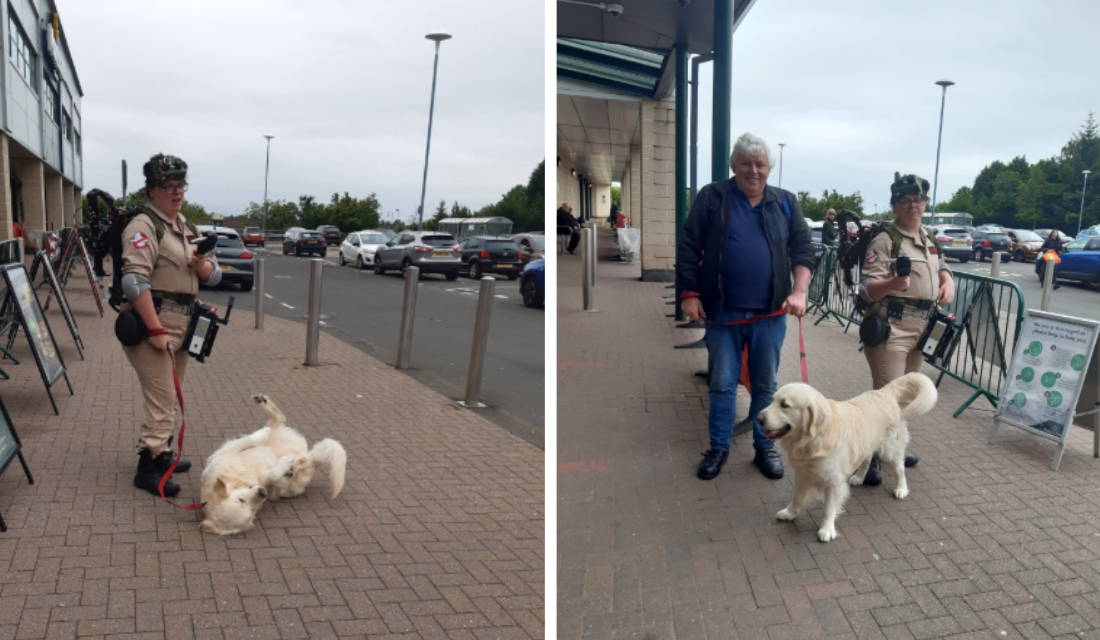 Segurança de supermercado faz gesto singelo com cão que estava na chuva