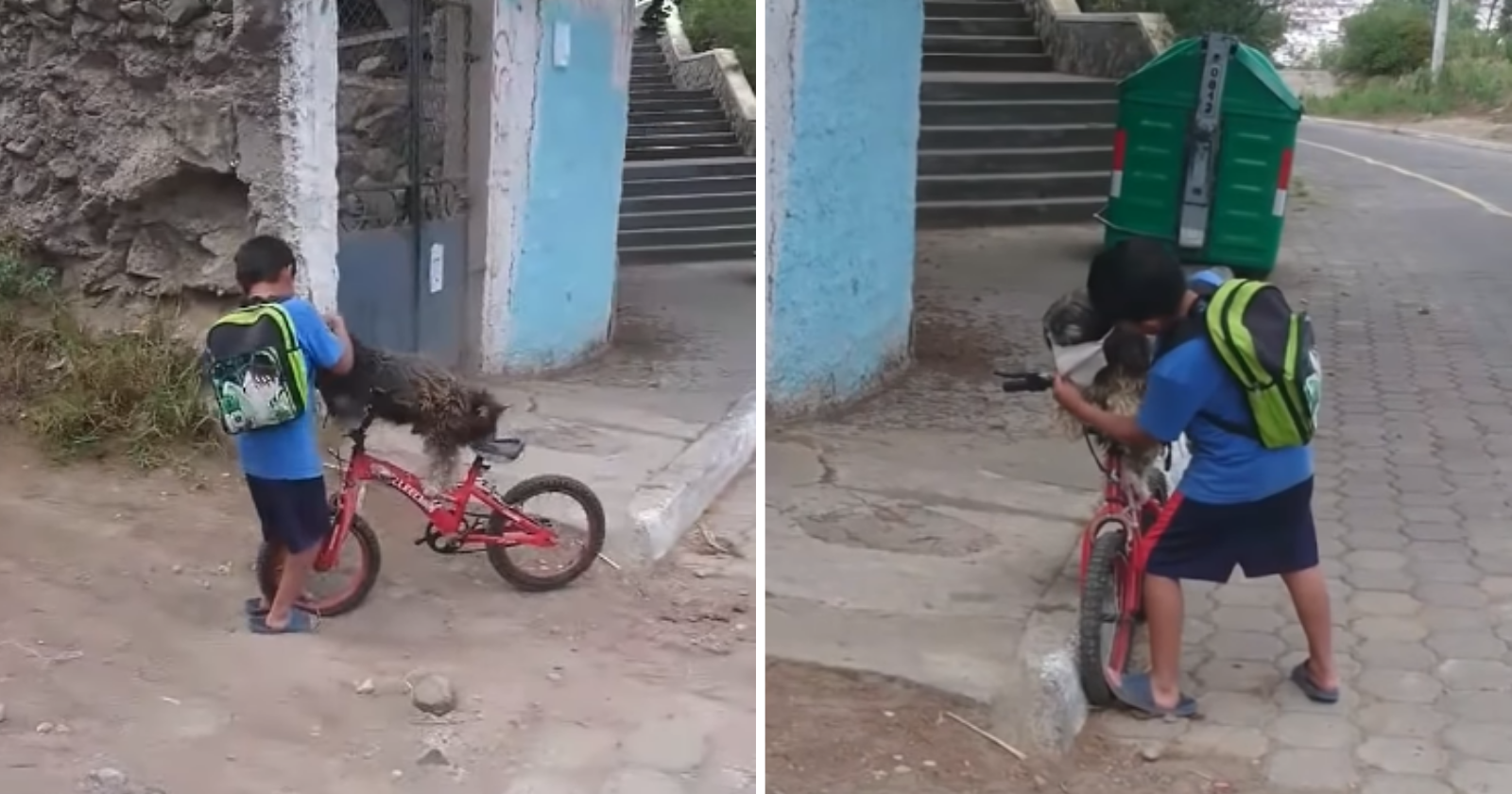 Vídeo de garoto protegendo cão com máscara se torna a coisa mais fofa da web