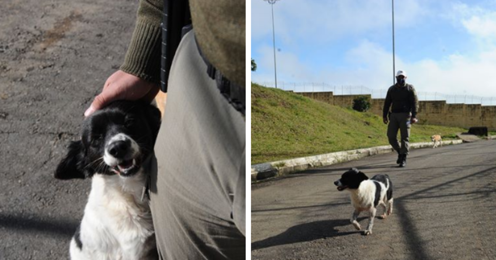 Soldado adota cachorrinha que apreendeu drogas e sua reação é a melhor