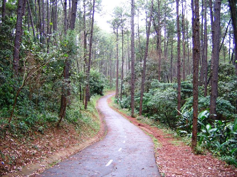 lugares-incríveis-são-paulo