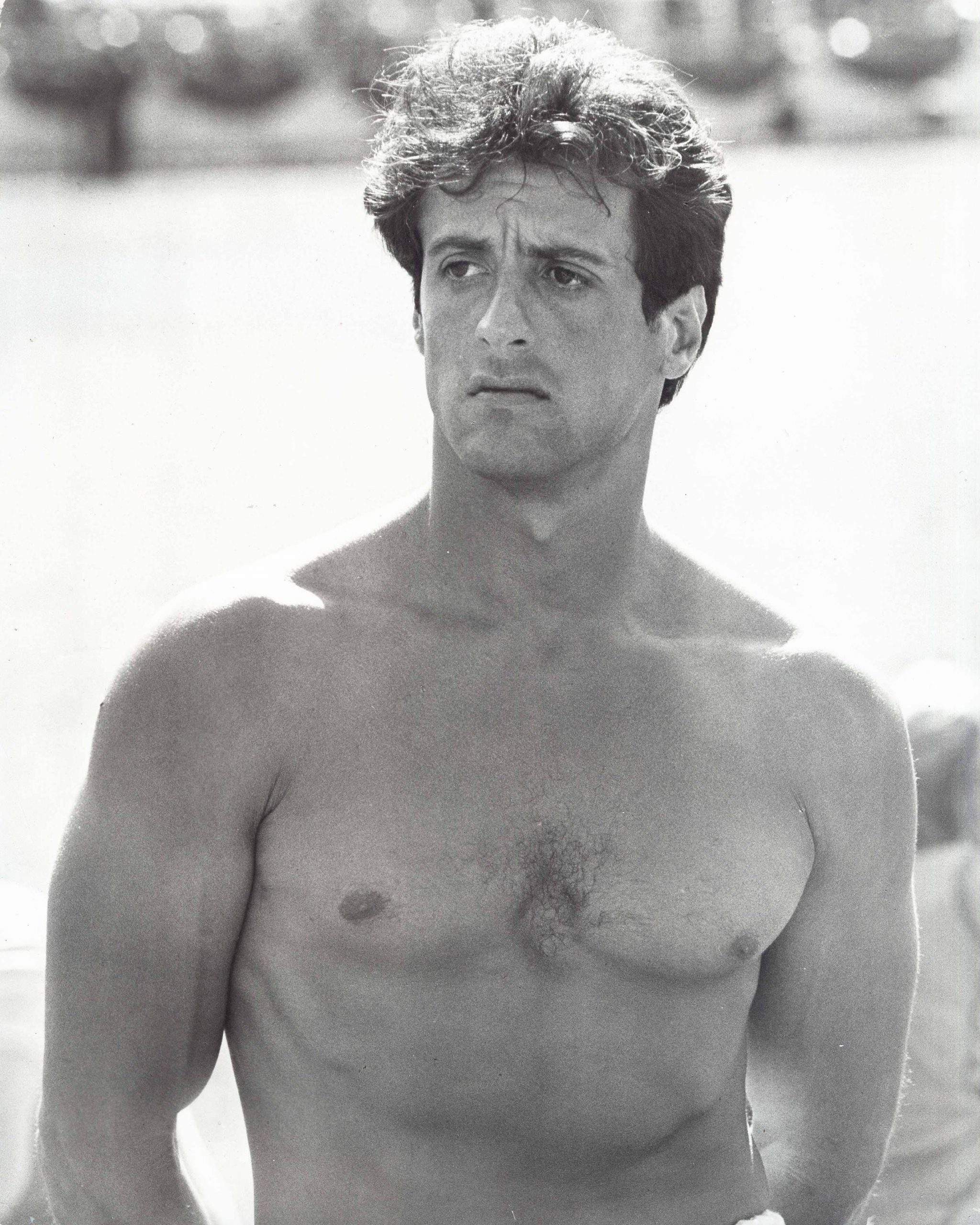 sylvester-stallone