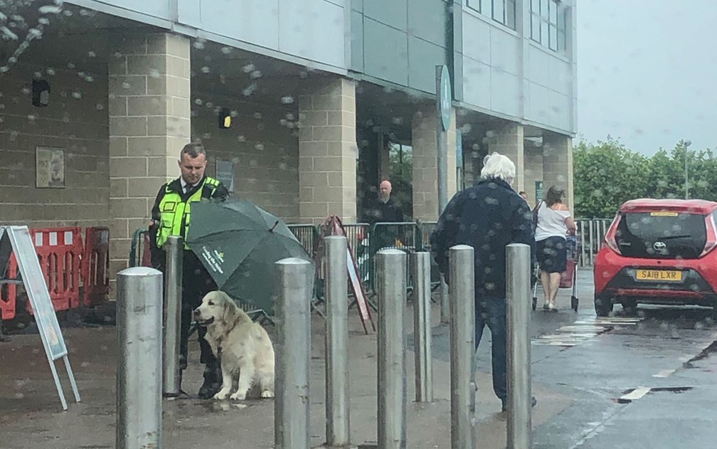 segurança-de-supermercado-protege-cachorro-da-chuva