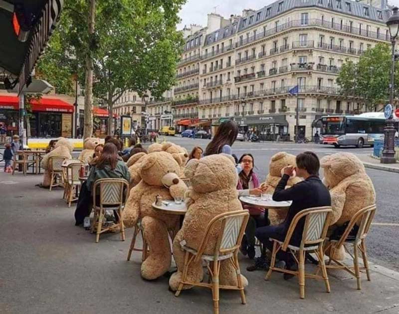 restaurante-usa-ursos-de-pelucia-para-manter-distanciamento