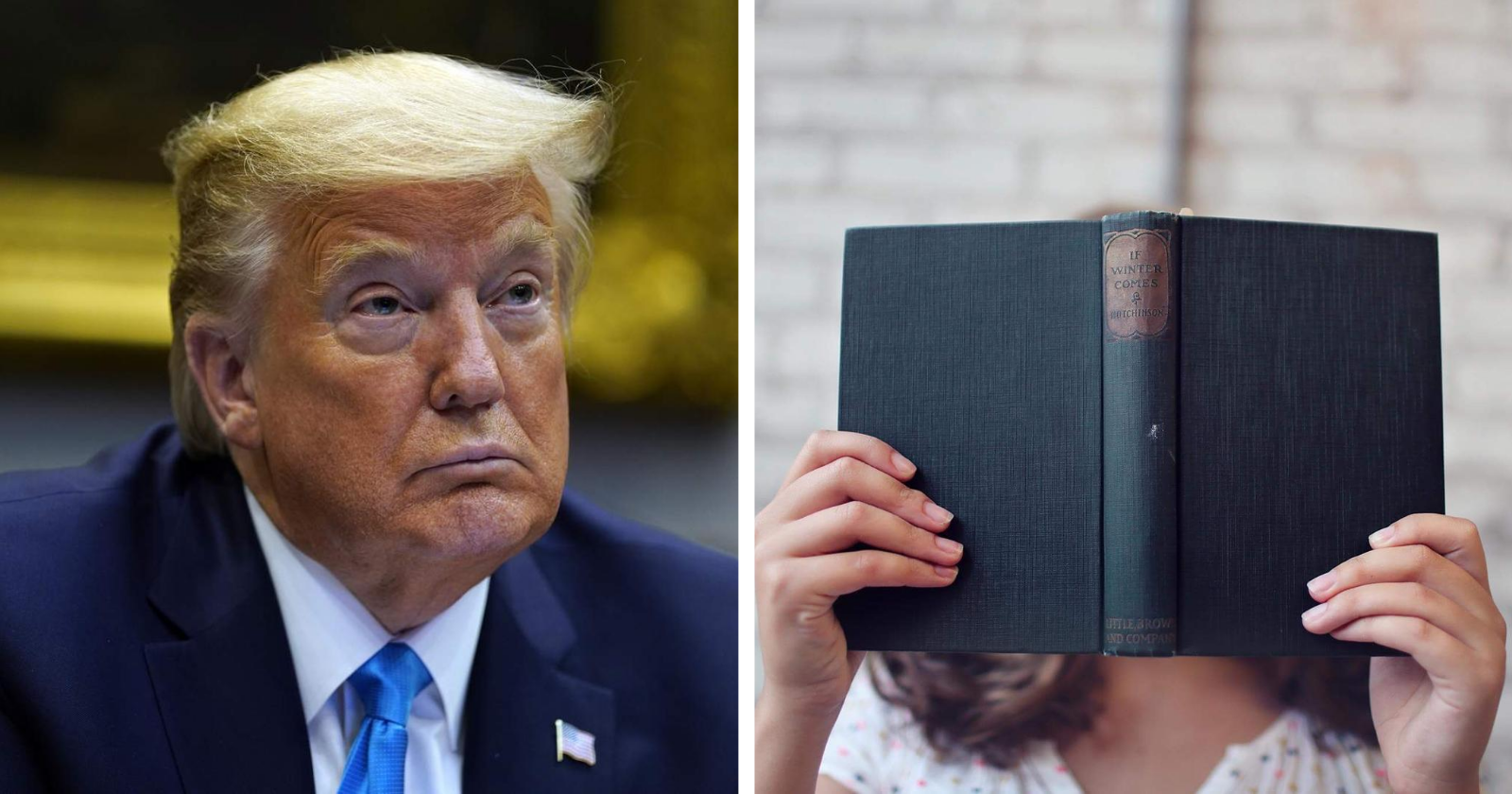 Você acredita que esses livros estão tirando o presidente Trump do sério?