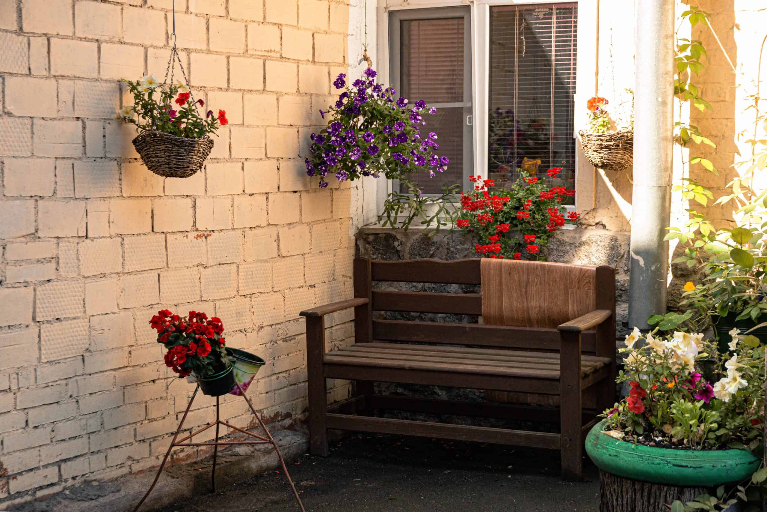 benefícios-flores-em-casa