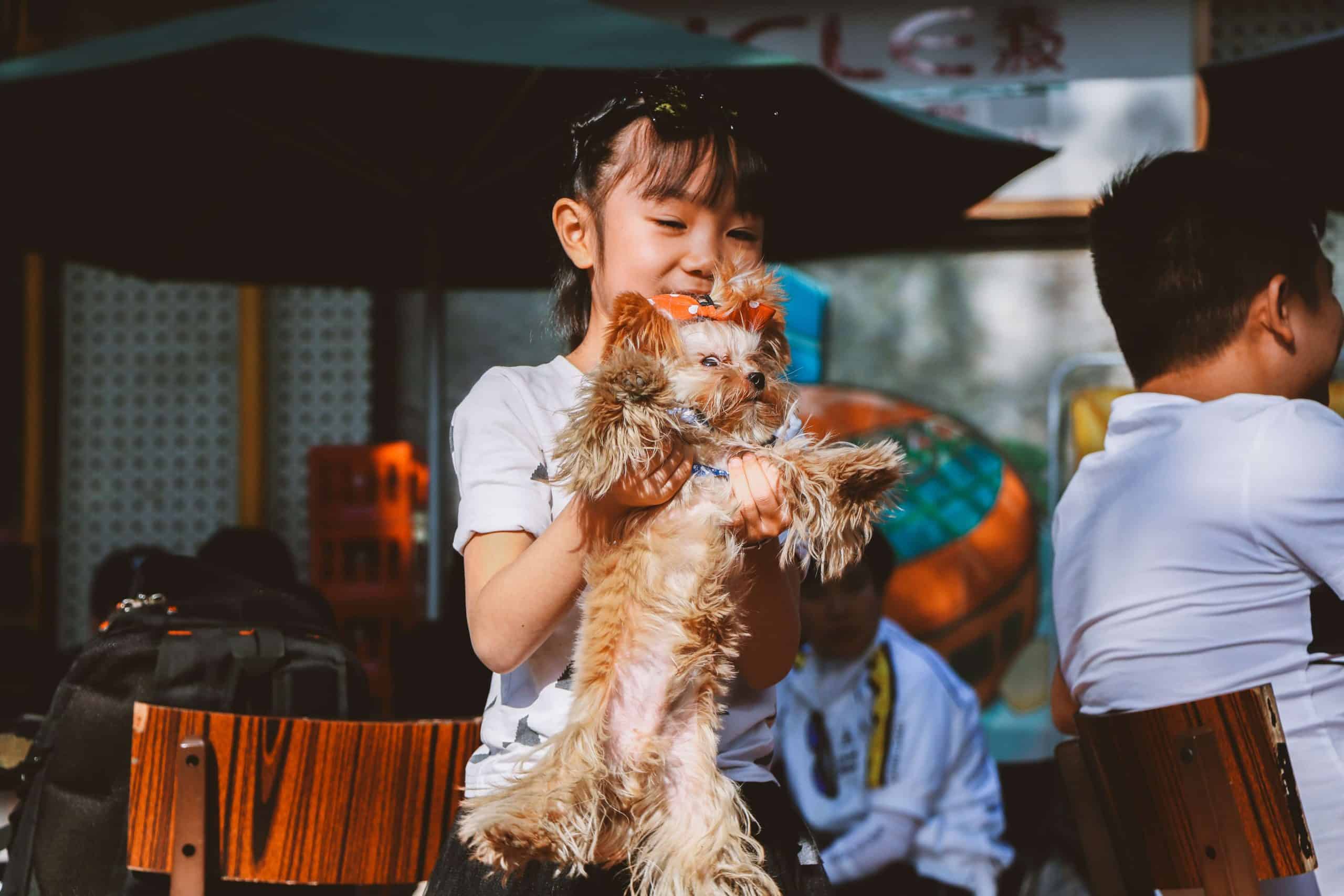 adoção-cachorro-quarentena