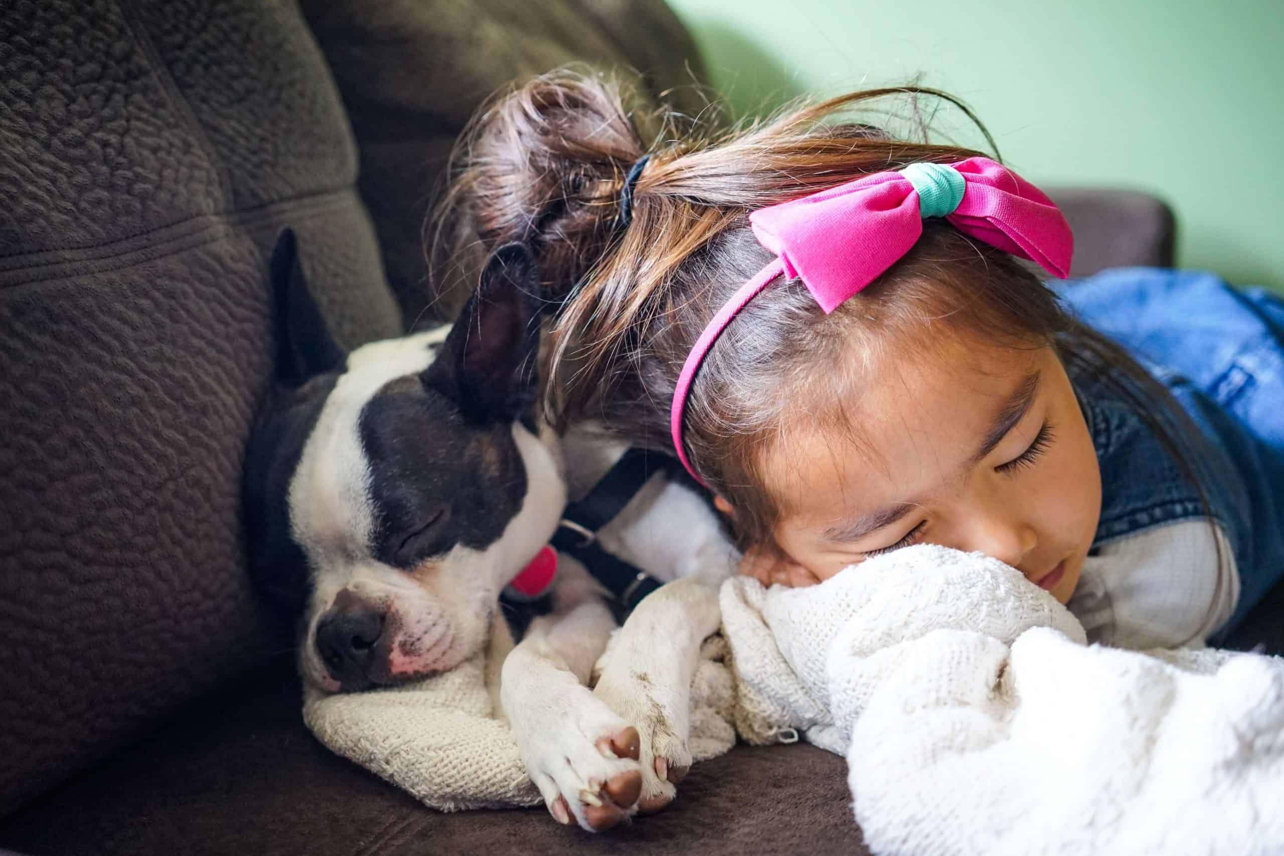 adoção-cachorro-quarentena