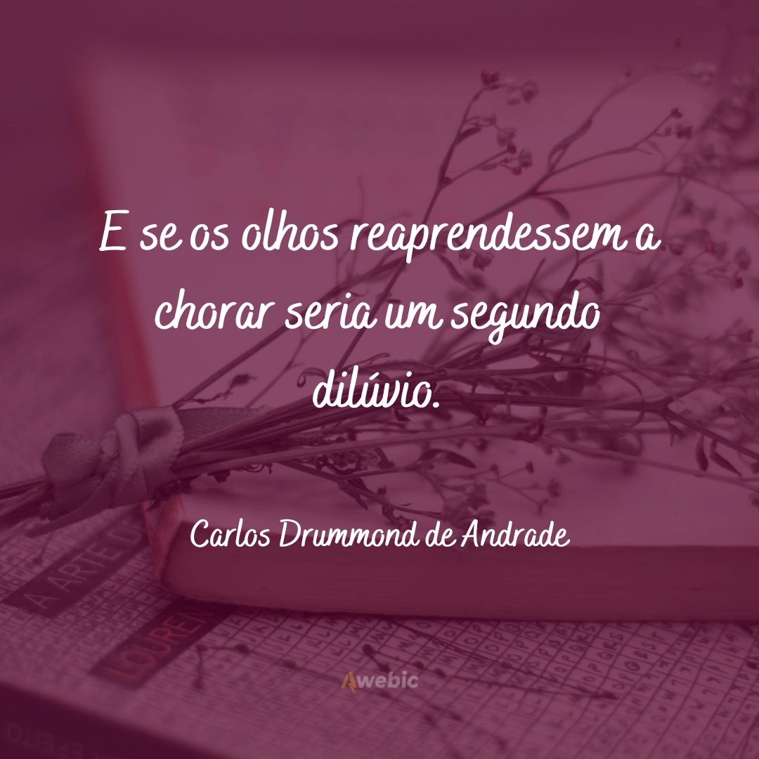 Frases de Carlos Drummond de Andrade