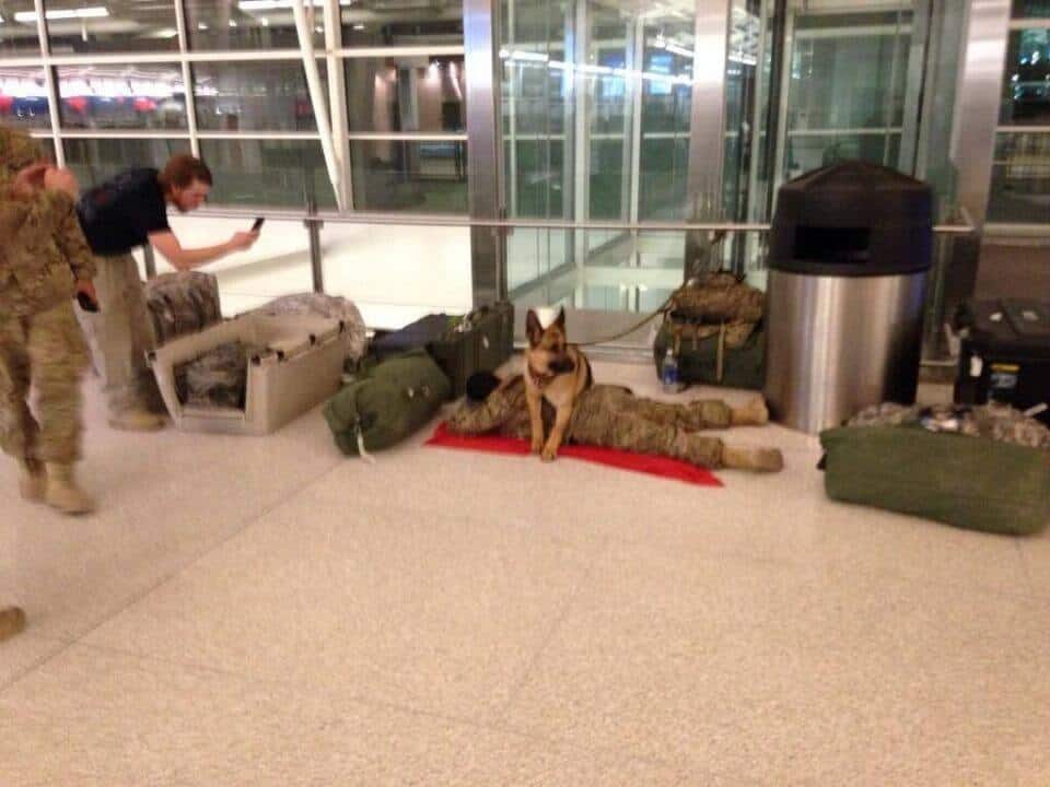 foto-soldado-tira-soneca-em-aeroporto-e-pastor-alemao-o-protege-enquanto-isso