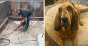 Em trabalho árduo, homem transforma quintal de namorada e reação do cachorro é…