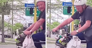 VÍDEO: Senhor é flagrado em passeio de bike com o filhote em cestinha e reação é a mais fofa da web!