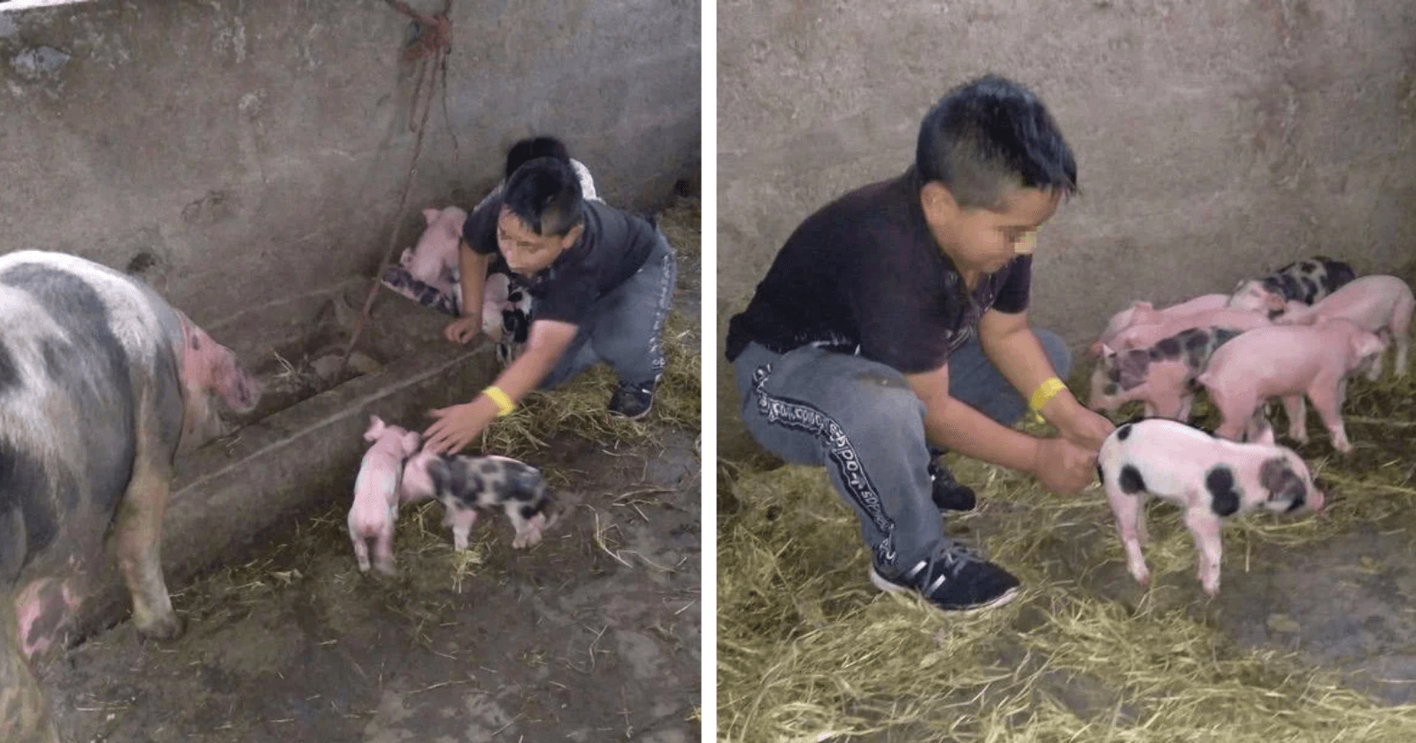 Que amor! Aluno deixa de fazer tarefa e professora comovida compartilha motivo na web