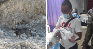 Cachorro LITERALMENTE para motociclista e homem salva bebê recém nascido abandonado!