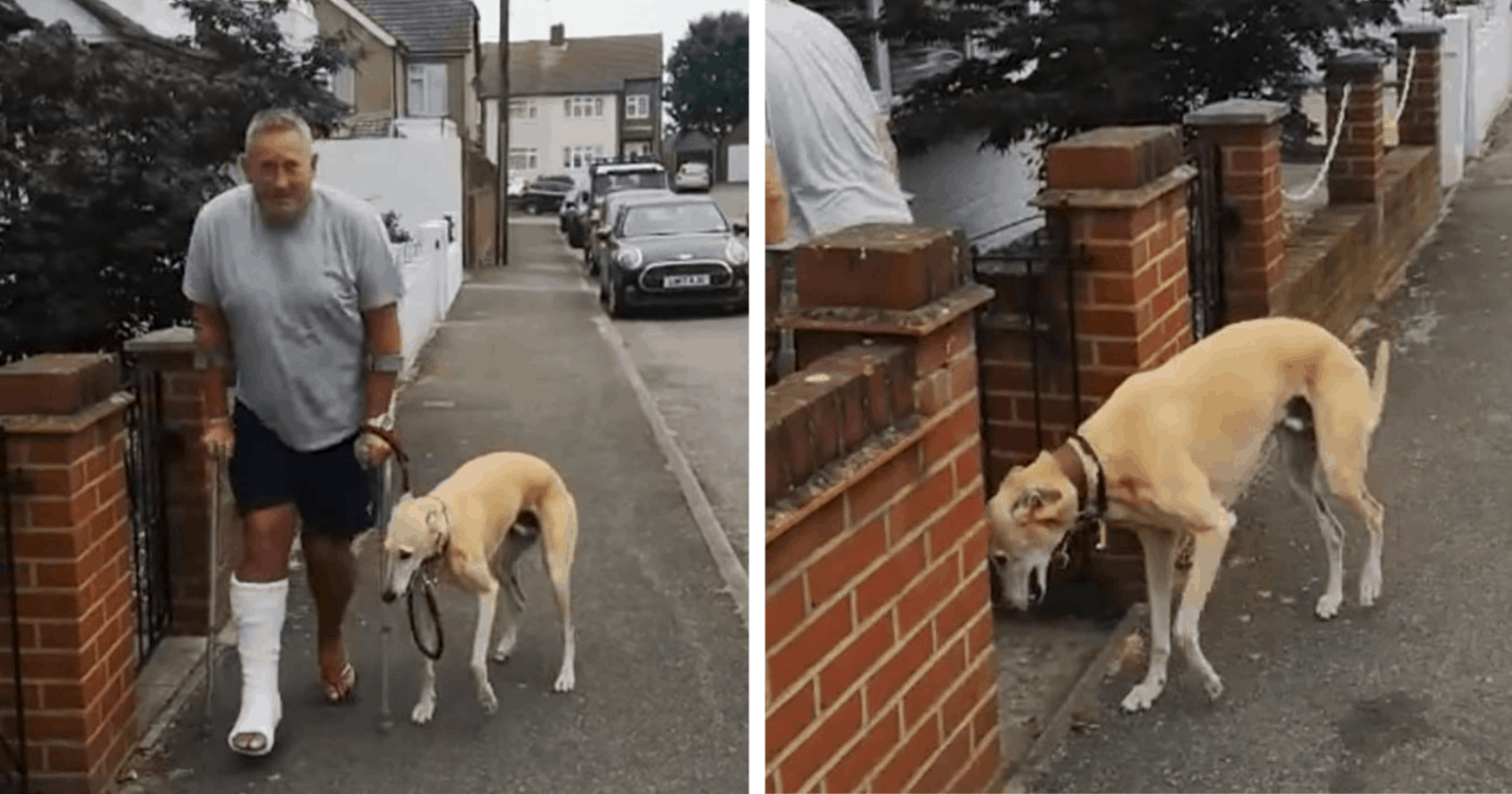 Dono com pé quebrado leva cachorro que estava mancando ao veterinário, gasta 300 euros e se choca com brincadeira