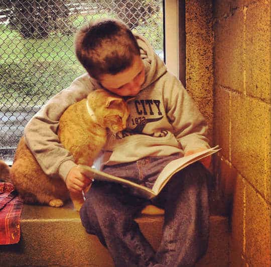 Abrigo cria programa de leitura para crianças terem o hábito lendo para os gatinhos