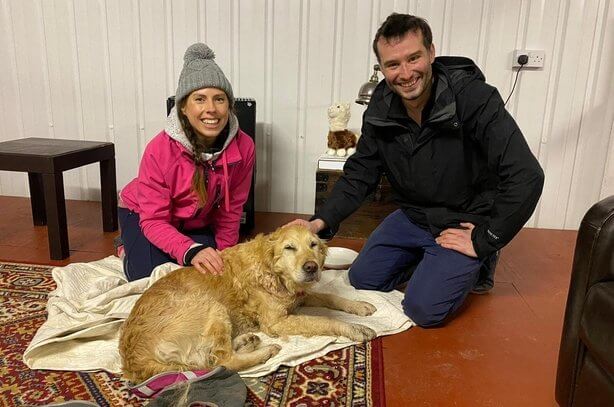 Casal encontram cadela congelada que estava perdida em montanha e a resgata de forma emocionante