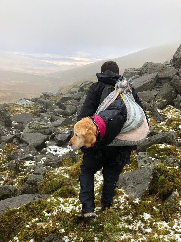 Casal encontram cadela congelada que estava perdida em montanha e a resgata de forma emocionante