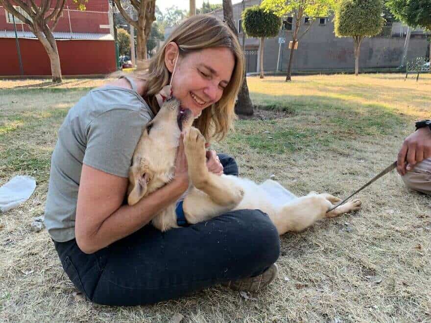 Criança comove o mundo ao deixar seu cãozinho em parque com bilhete descrevendo o motivo