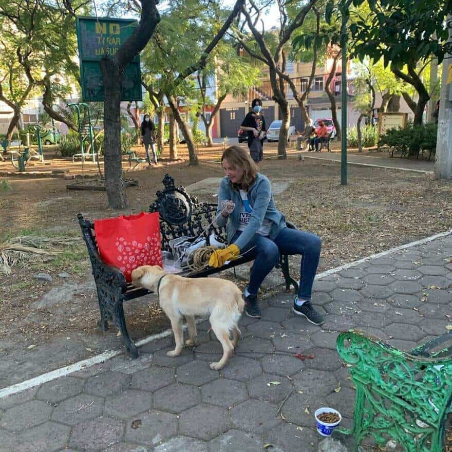 Criança comove o mundo ao deixar seu cãozinho em parque com bilhete descrevendo o motivo