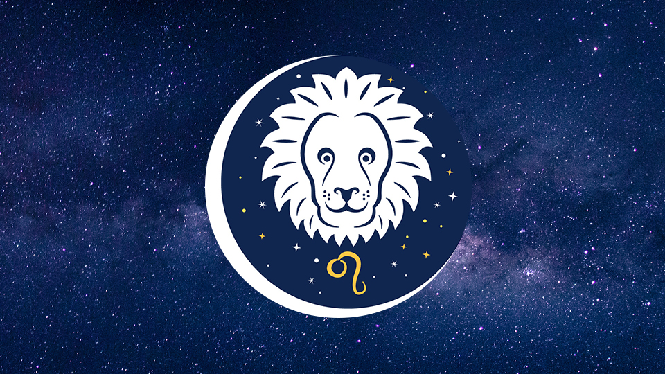 Signo de Leão - os defeitos, personalidades e fraquezas de um leonino