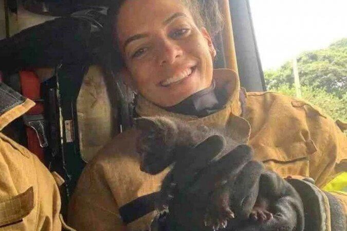 Bombeiros quebram a cabeça para resgatar gatinho e o salvam com um pedaço de...