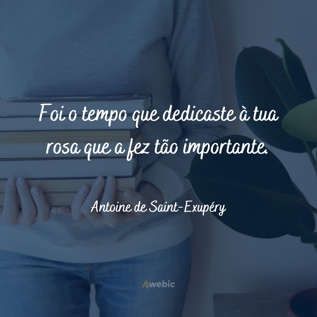 Frases de Antoine de Saint-Exupéry 