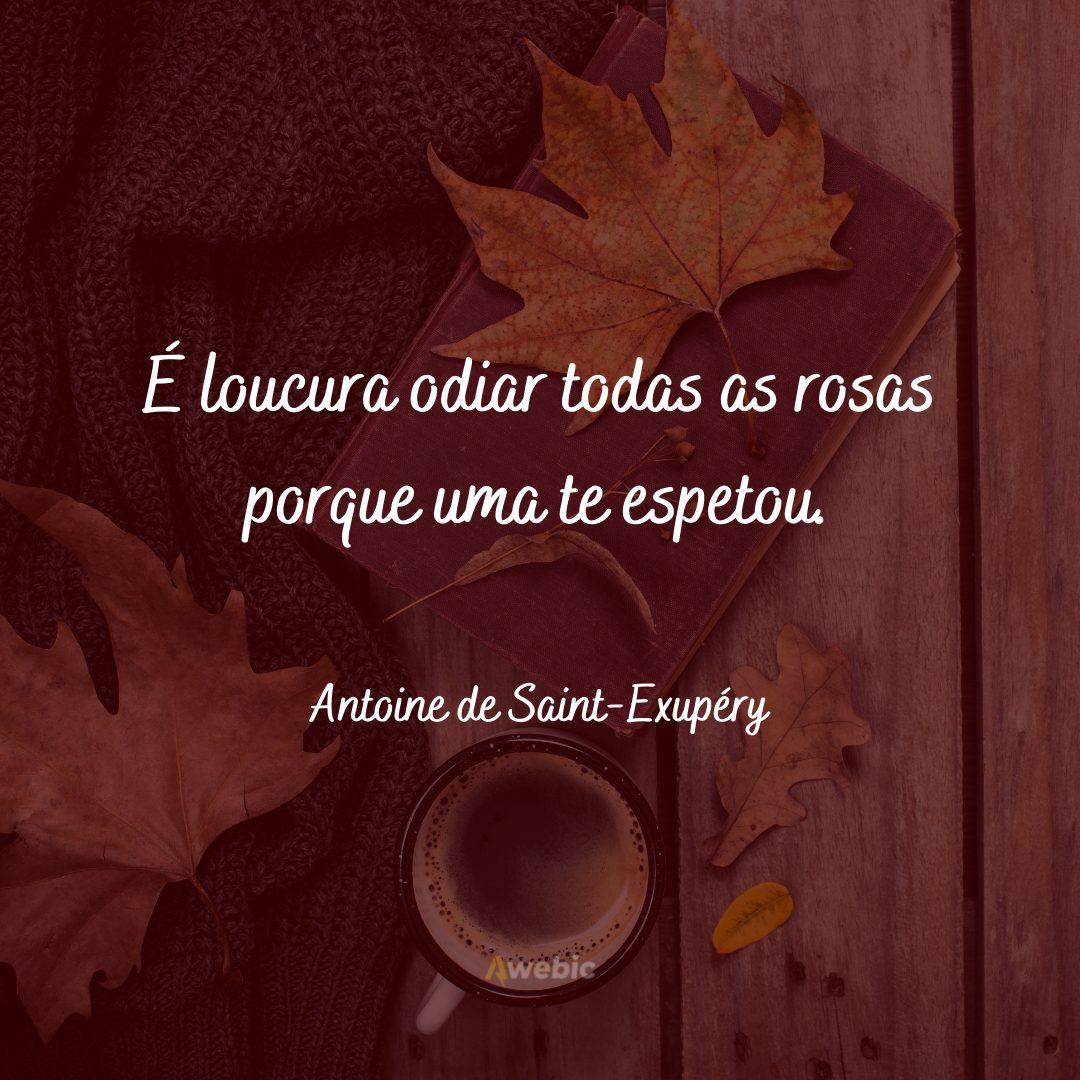 Frases de Antoine de Saint-Exupéry 