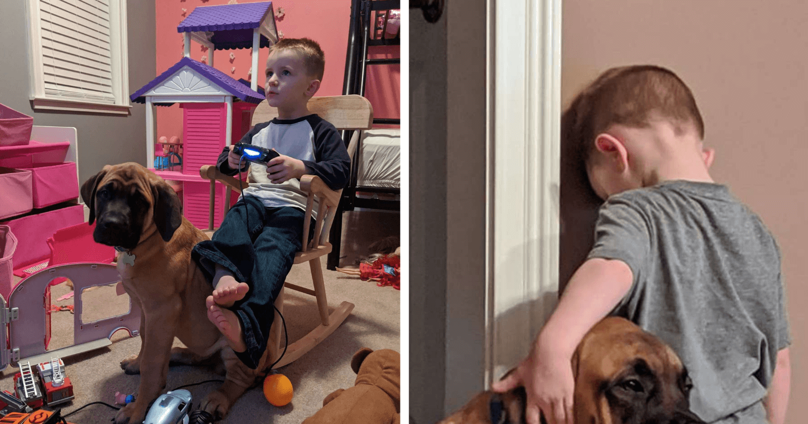 Mãe coloca filho de castigo, cachorro lhe faz companhia e foto se torna VIRAL