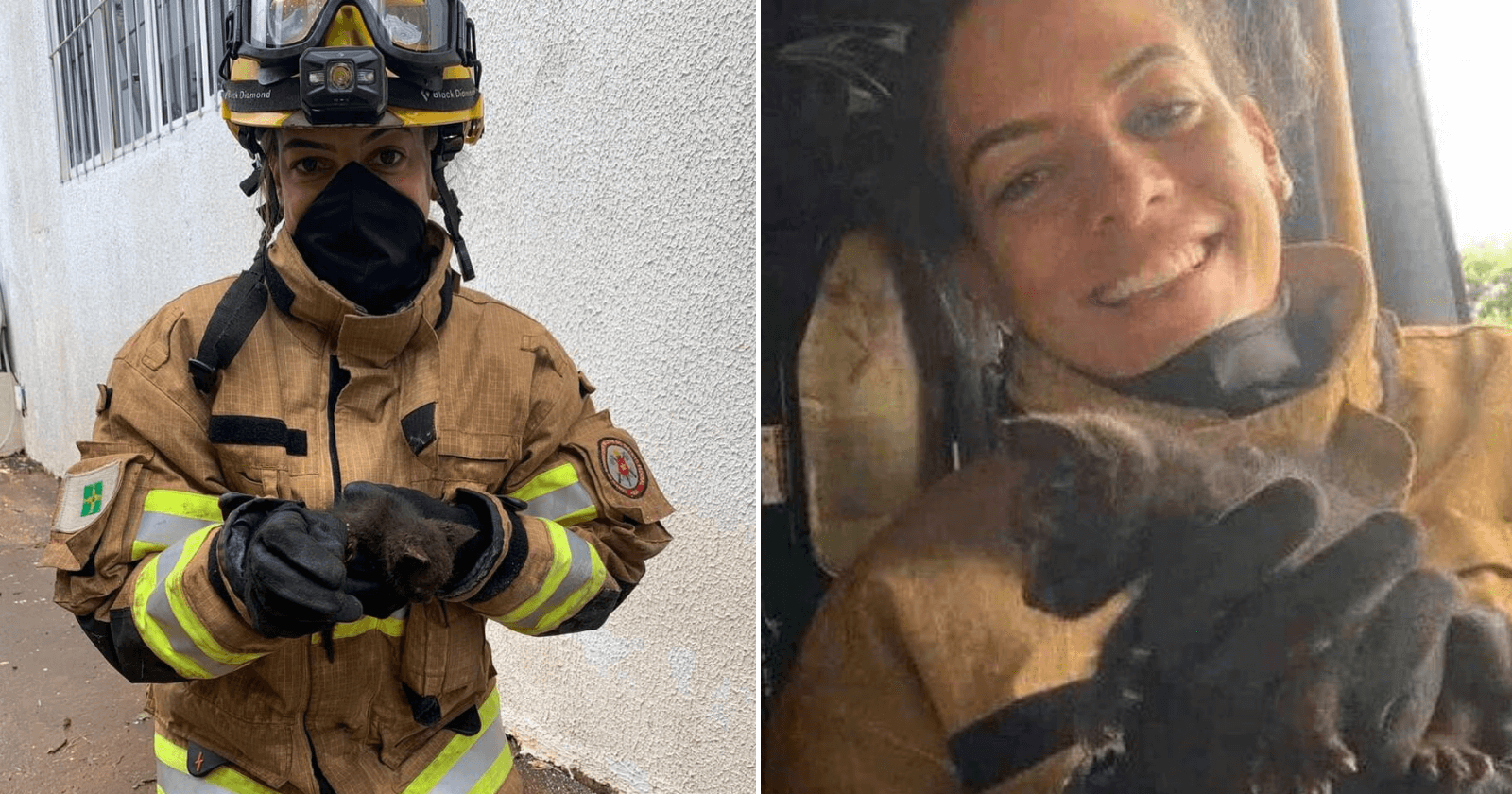 Bombeiros quebram a cabeça para resgatar gatinho e o salvam com um pedaço de…