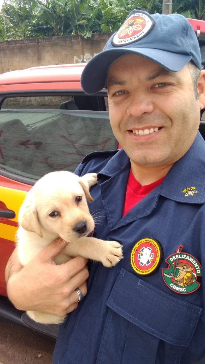 Corpo de bombeiros recebe novo 'socorrista' em equipe e sua fofura chama atenção