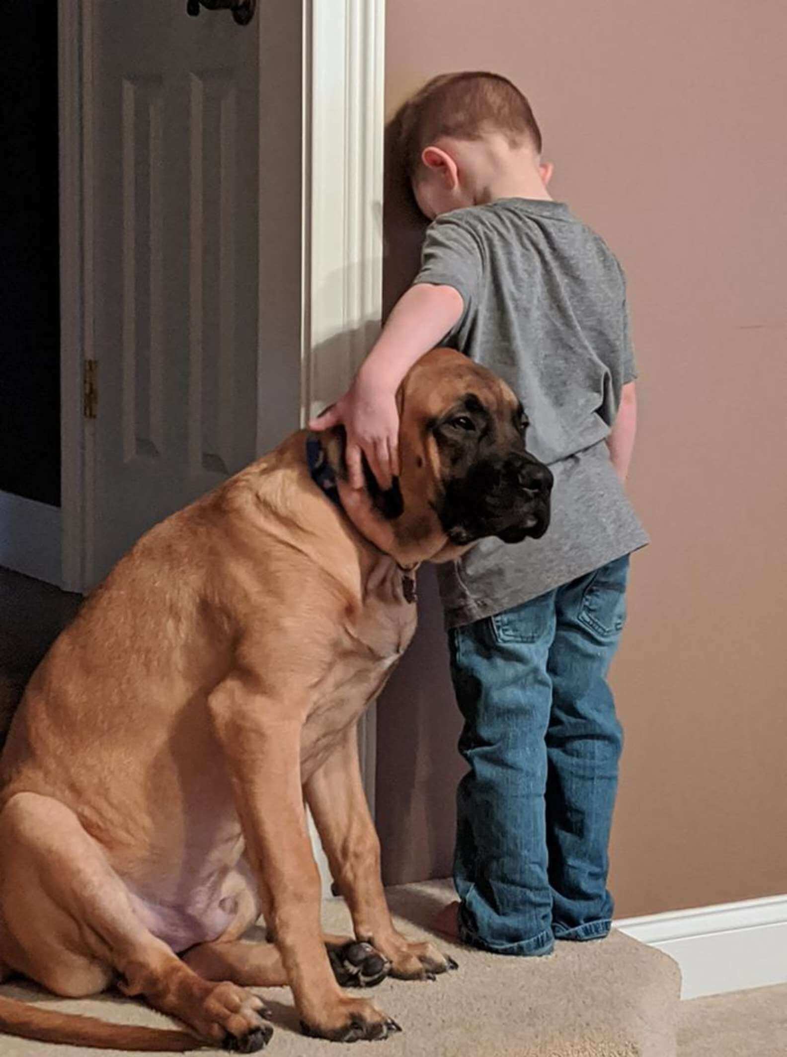 Mãe coloca filho de castigo, cachorro lhe faz companhia e foto se torna VIRAL 