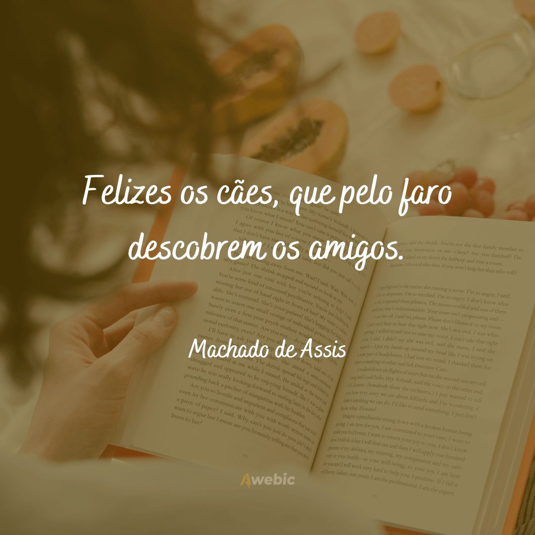 frases de Machado de Assis