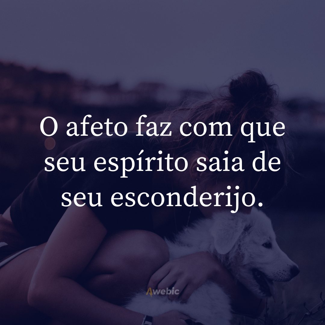 frases-carinho