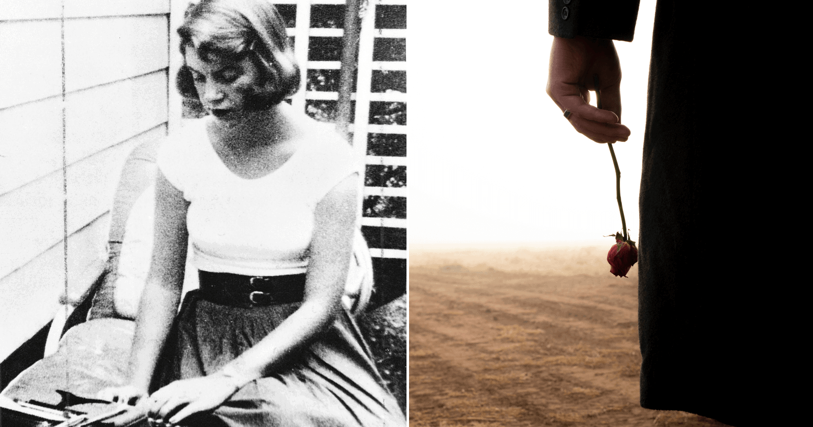 Poemas da Sylvia Plath para apreciar obras de uma grande mulher