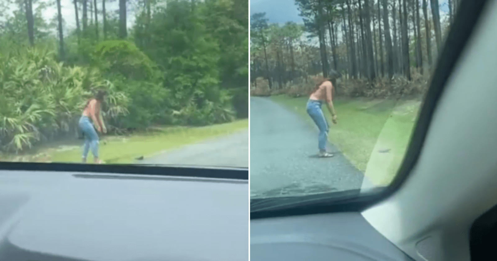 Jovem filma namorada ajudando tartaruga: ‘mereço essa pessoa?’