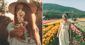 65 frases de Primavera para celebrar com muito carinho a chegada das flores