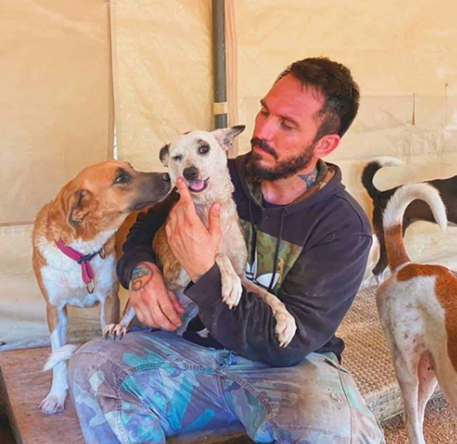 Rapaz abriga 300 cachorros em sua casa durante passagem de furacão