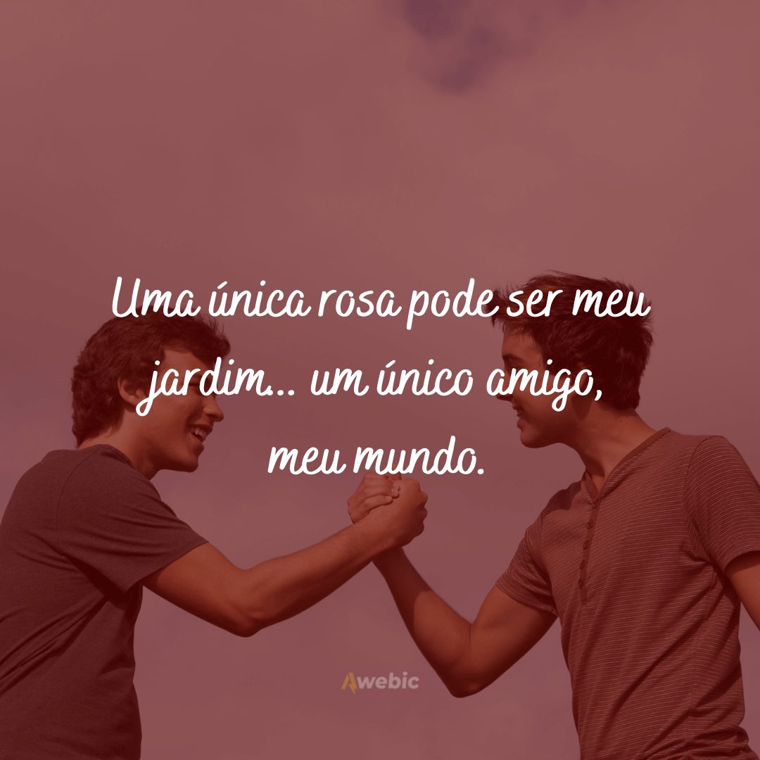 Frases de Amizade Verdadeira para Amigos