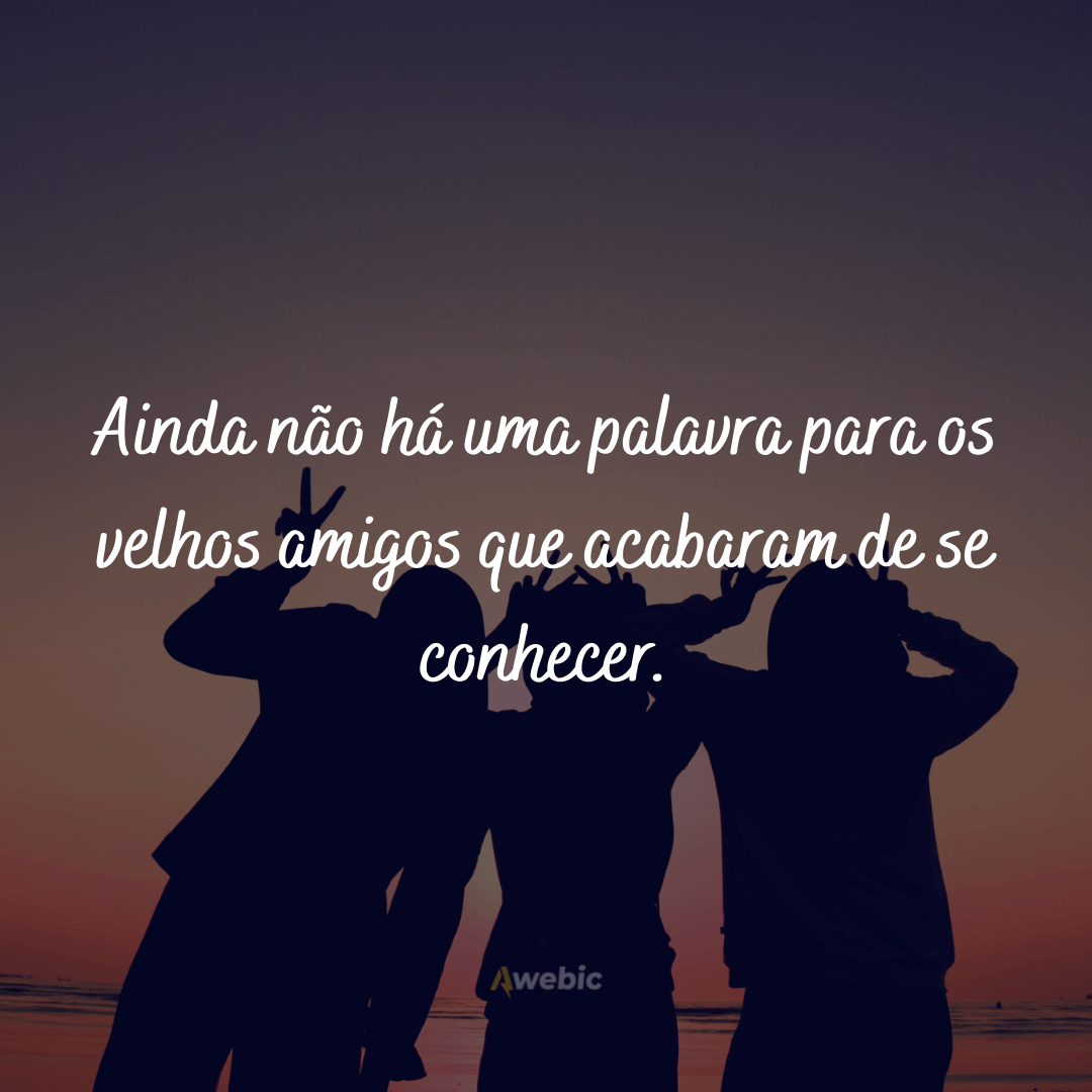 Frases de Amizade Verdadeira para Amigos