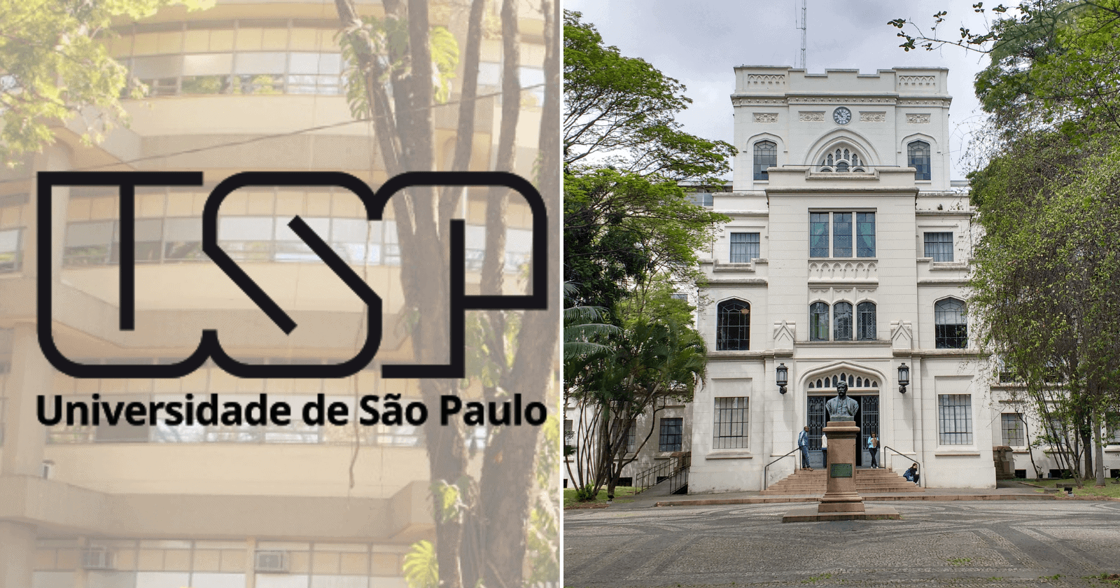 USP bate recorde de novos alunos que vieram de escolas públicas