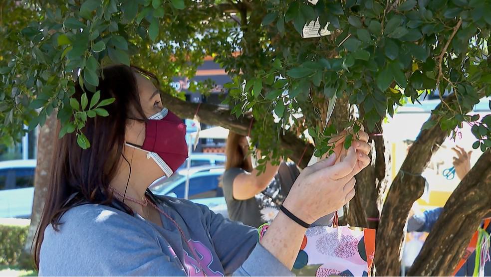 Mulheres criam projeto em árvores para espalhar esperança