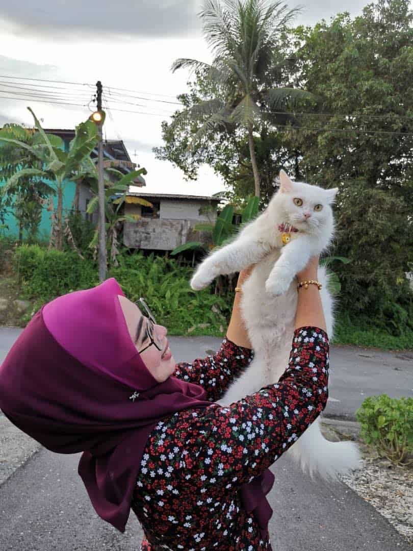 Mulher resgata gata e mudança da felina é IMPRESSIONANTE