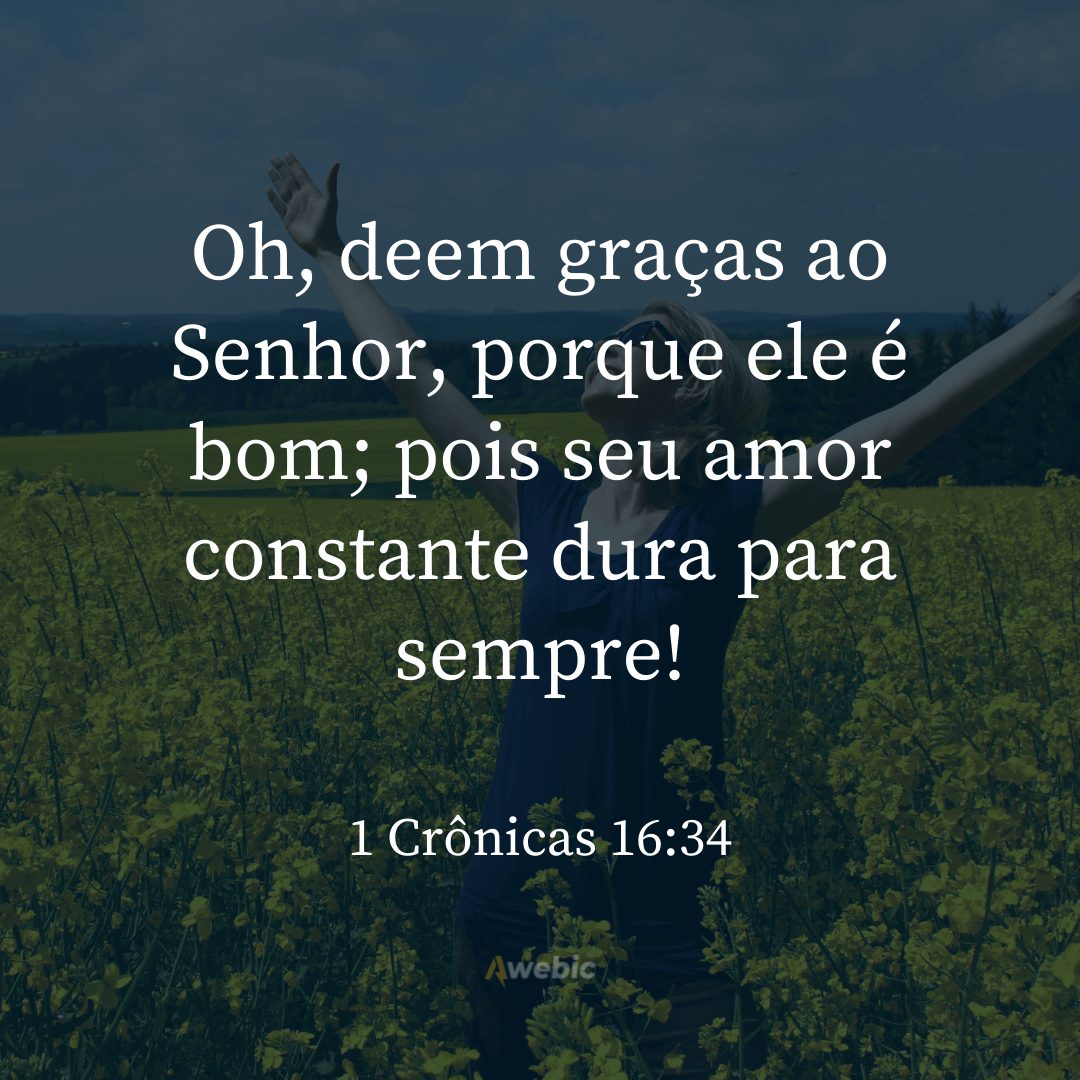 Versículos -Agradecimento-Deus