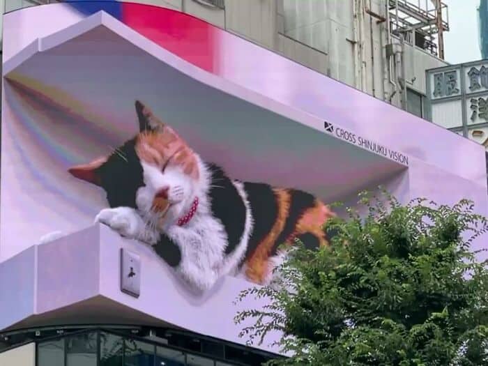 Outdoor 3D de gatinho gigante se torna viral na web