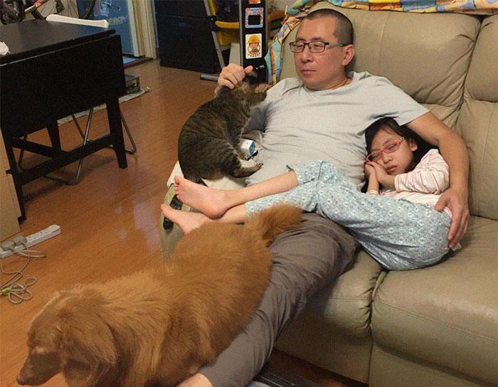 Pai refaz foto com gato, cachorro e filha 10 anos depois