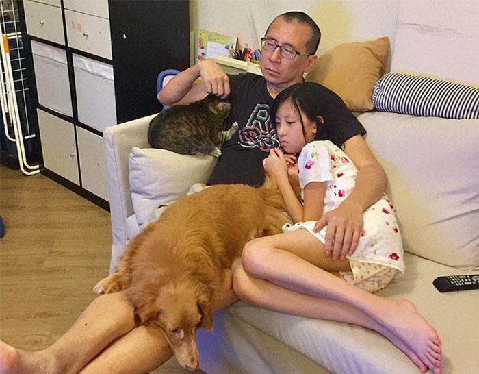 Pai refaz foto com gato, cachorro e filha 10 anos depois