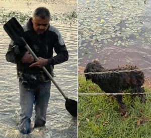 Pedreiro resgata doguinho que estava em lago gelado