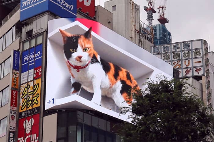 Outdoor 3D de gatinho gigante se torna viral na web