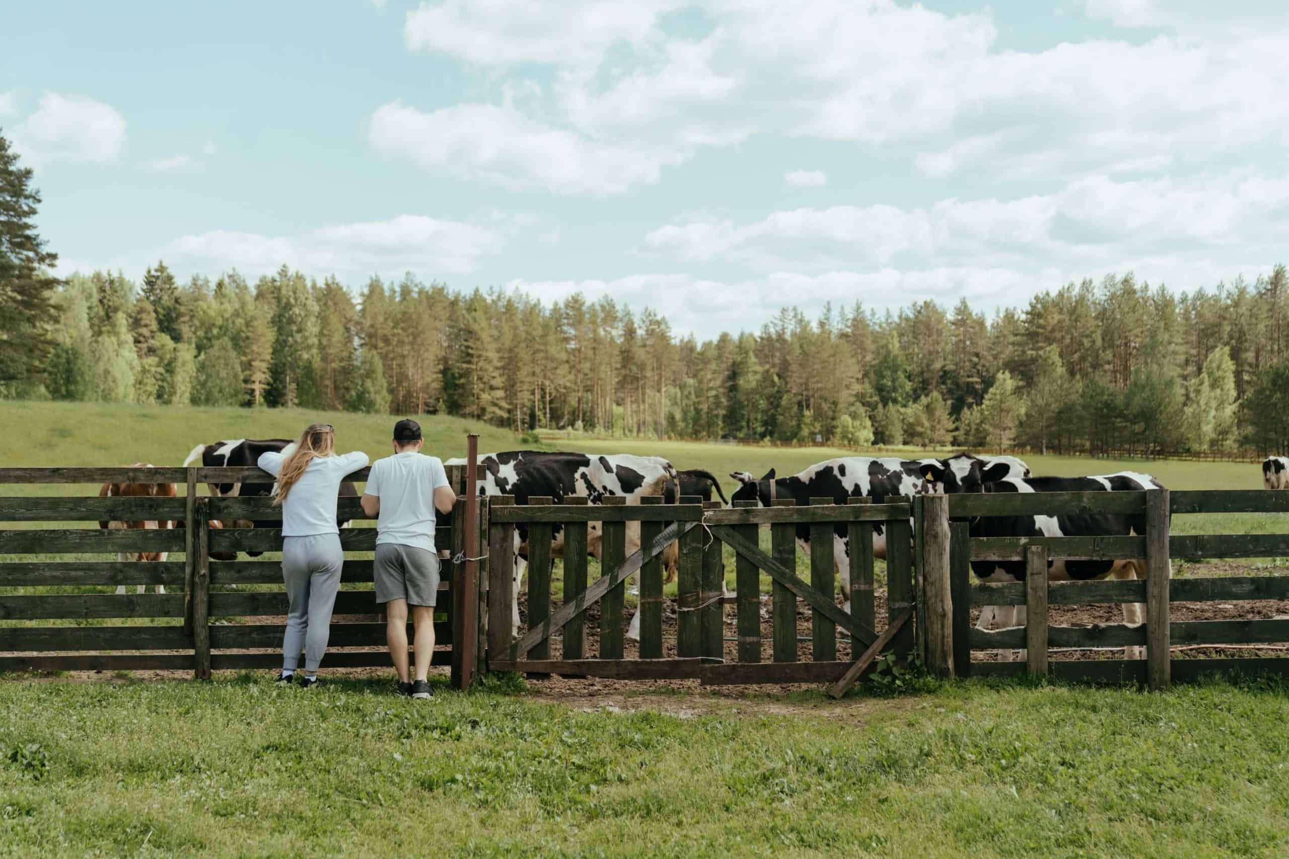 legendas-para-fotos-na-fazenda