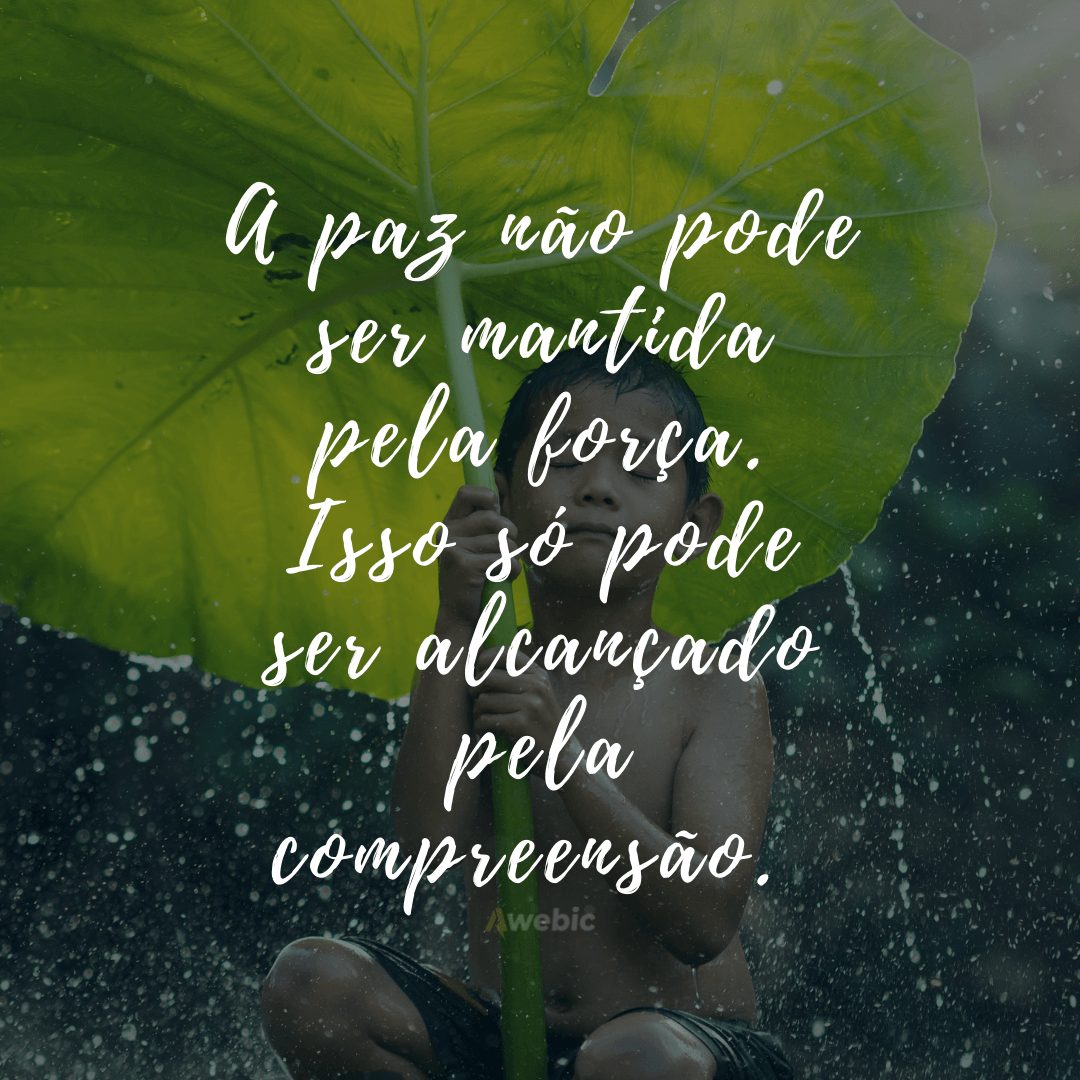 frases-paz-inteiror